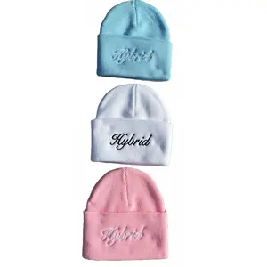 Hybrid Signature Beanie
