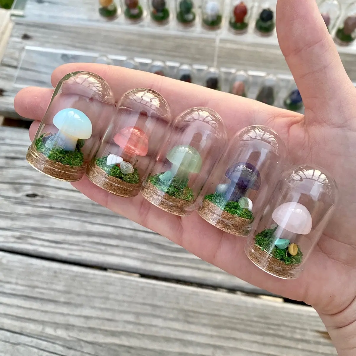 Mini Crystal Mushroom Terrariums| Choose Your Mushroom