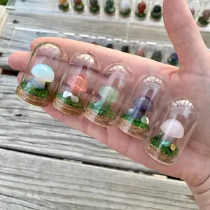 Mini Crystal Mushroom Terrariums| Choose Your Mushroom Mini Crystal Mushroom Terrariums| Choose Your Mushroom