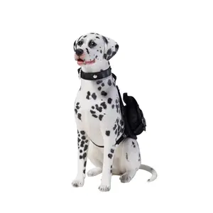 JXK Sitting Dalmatian, Spotted Dog with Intricate Texture Details