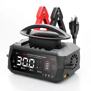 30Amp Smart Car Battery Charger, 12V/24V Automotive Charger, Lead-Acid Battery, LiFePO4 Battery Maintainer with LCD Display, Trickle Charger, for Lawn Mower, Motorcycle, AGM, STD, Gel, EFB,etc