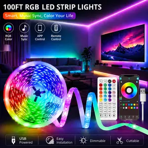 RGB LED Strip Lights 100FT with App & Remote, Music Sync Color Changing Light Strip, USB Smart LED Lights for Bedroom, TV, Gaming Room, Party Decor – Ideal Home Aesthetic Decor
