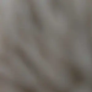 review image 3