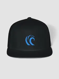 Diffraction Logo Snapback