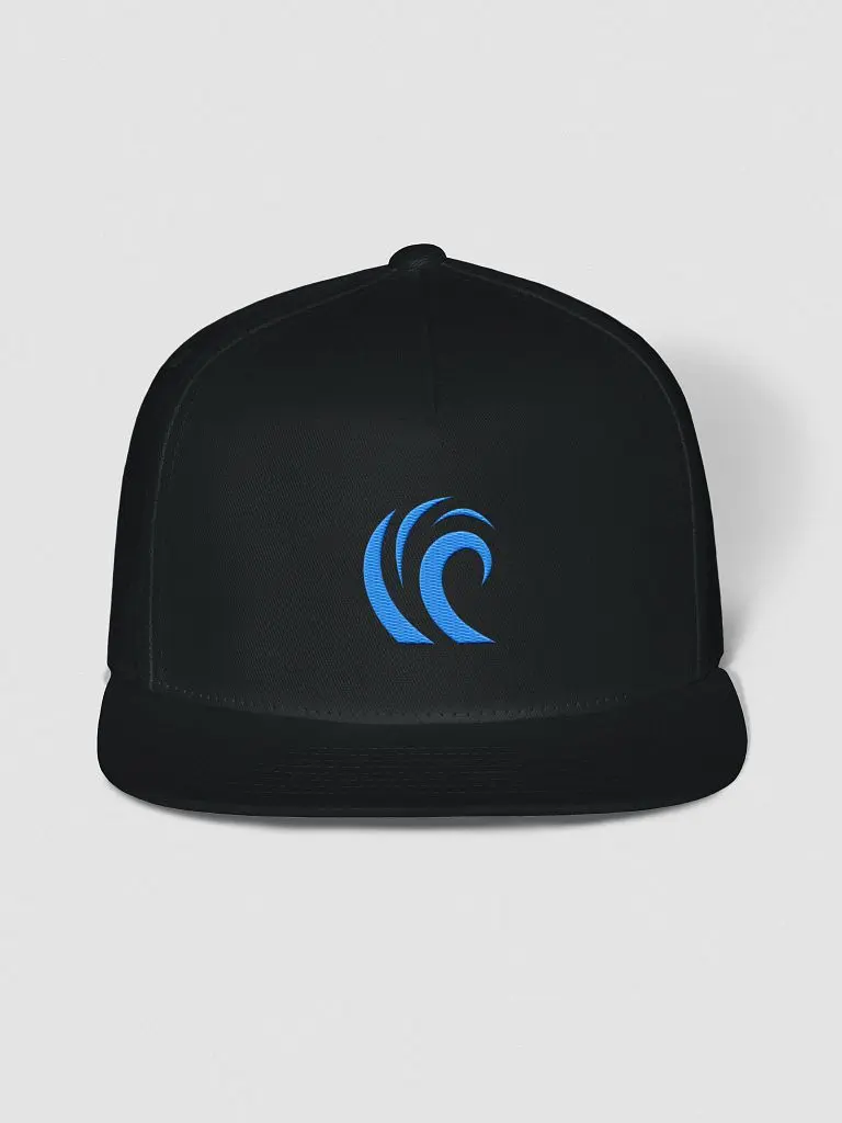 Diffraction Logo Snapback