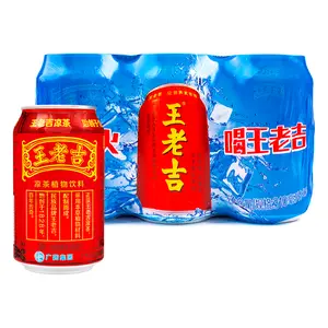 Wanglaoji Herbal Beverage 310 ml