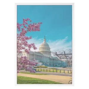 REGALWOVEN Wall Picture Frame for Photo and Poster, Art Photo Frame for Wall Hanging Picture Frames 20x28 Inch White