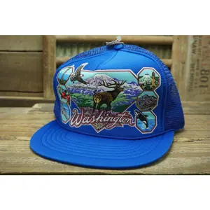 Washington State Hat Vintage Hat