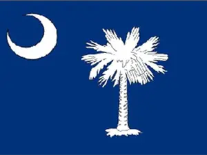 South Carolina state flag 3x5 ft - US state Flags Banners Tree Ornaments Decor