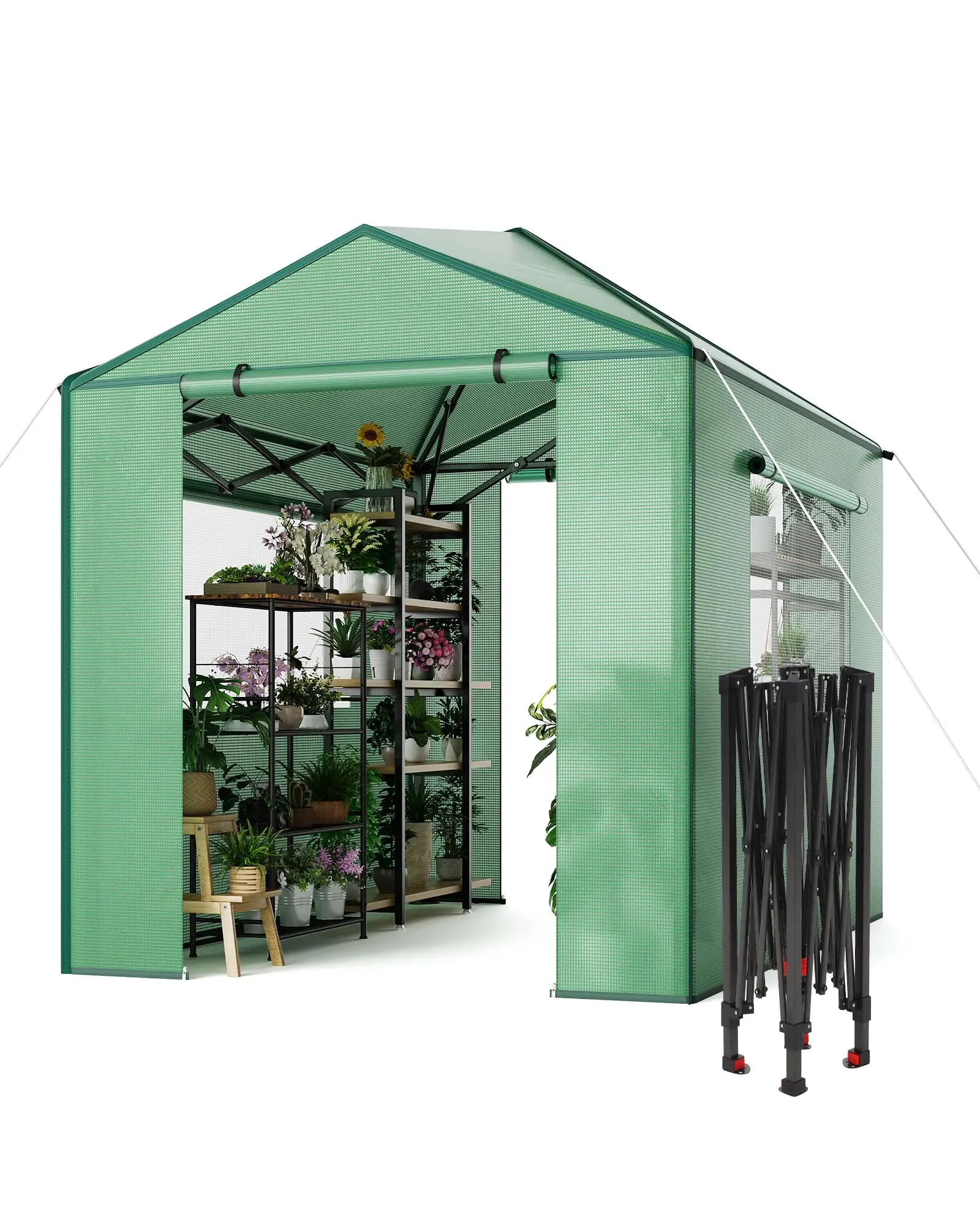 Foldable Pop Up Greenhouse 8x6 FT,Collapsible Walk-in Outdoor Greenhouse for Garden Patio Backyard,Zippered Doors and Window,PE Cover,96x72 inch.
