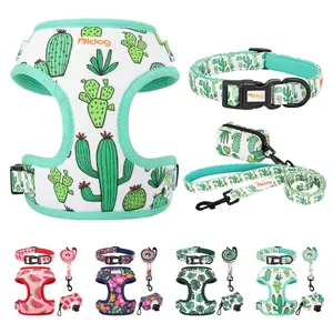 Special Print Harness, Collar Leash and Bag Sets