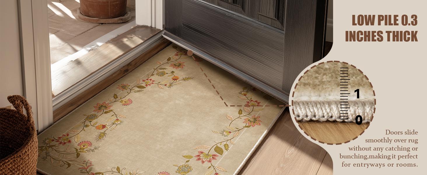 Washable Small Entryway Rug: Door Mat Indoor Entrance Stain Resistant Non Slip Rubber Backed Low Pile Soft Throw Area Rugs for Bedroom Kitchen Front Door Indoor Entrance Foyer Entry