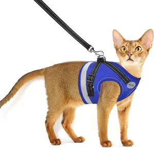 Cat Harness and Leash for Walking, Kitten Escape Proof Harnesses, Adjustable Reflective Puppy Harness with Leashes Set, Easy Adjustable Soft Net Breathable Pet Safety Vest AVCCAVA