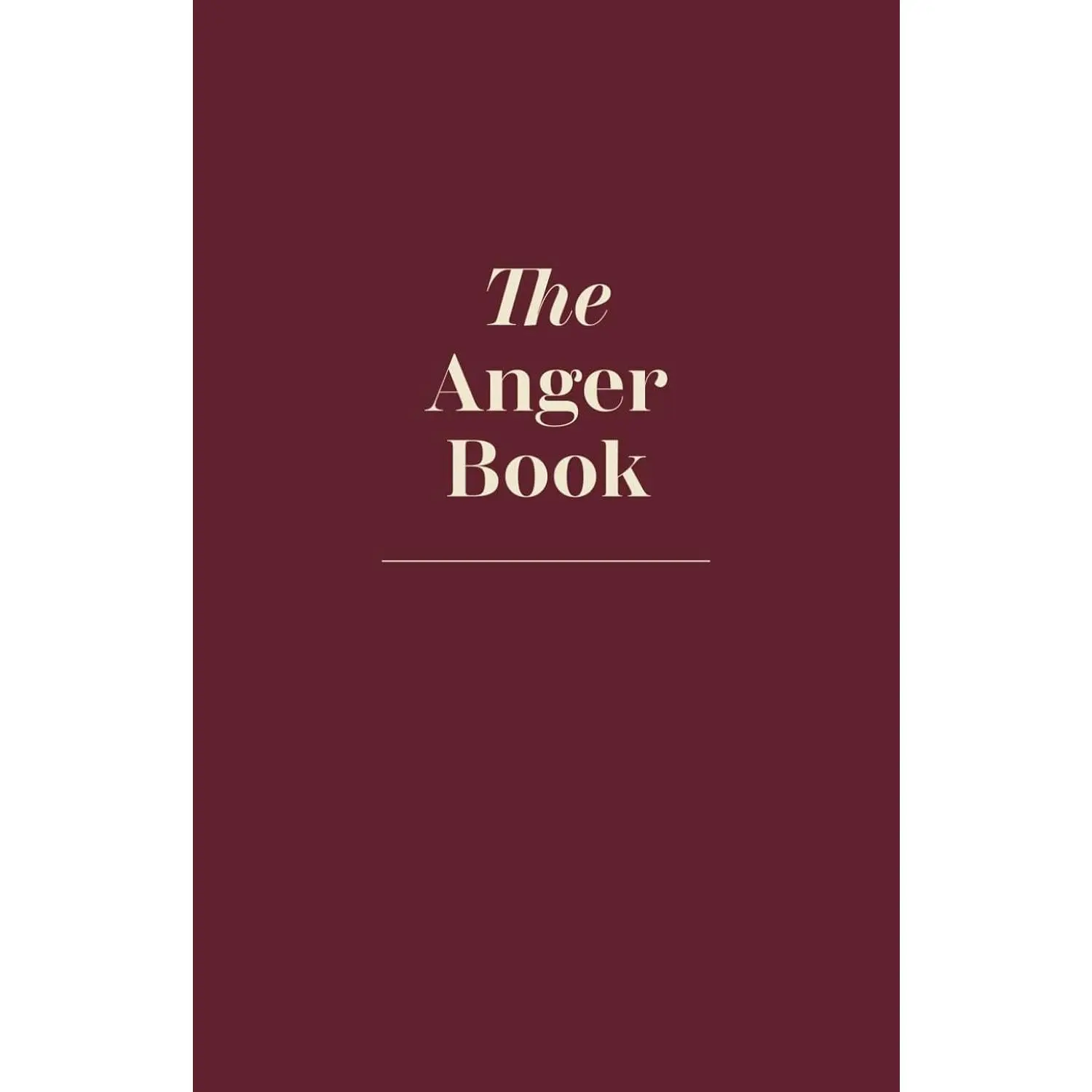 The Anger Book - A Journal To Destroy