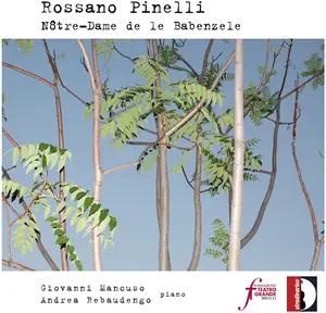 Andrea Rebaudengo - Notre-dame de le Babenzele  [COMPACT DISC - CD]
