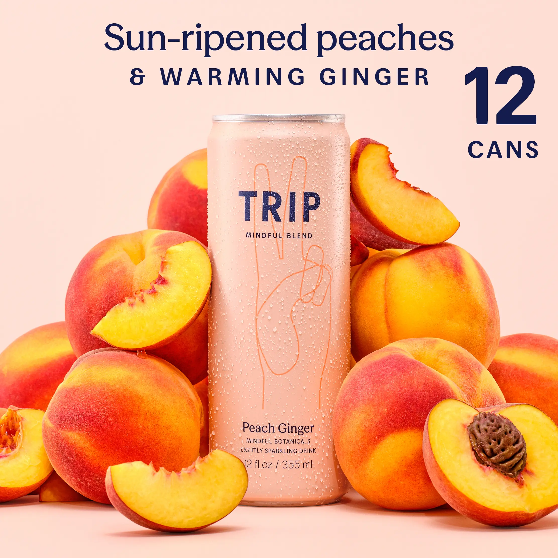 TRIP Peach Ginger Sparkling Magnesium Drink — 120mg Magnesium, Ashwagandha, Lion's Mane, L-Theanine, Non-Alcoholic, Low Calorie, Vegan (12-Pack, 12oz)