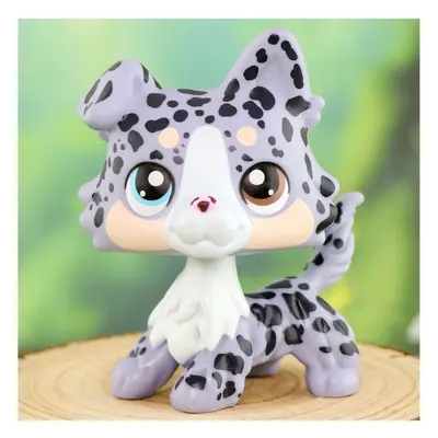 Scary Cureed Husky Lps TikTok Shop