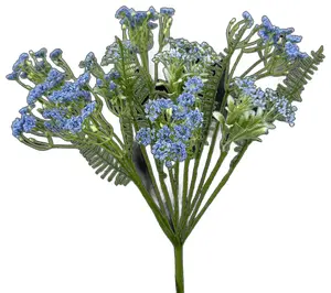 20" Blue Queen Anne’s Filler Bush