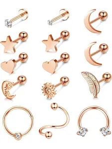 14 Piece Piercing Ear Earrings Surgical Steel for Men and Women Cartilage Helix Tragus Piercing Jewellery Set Stud Earring Jewelry