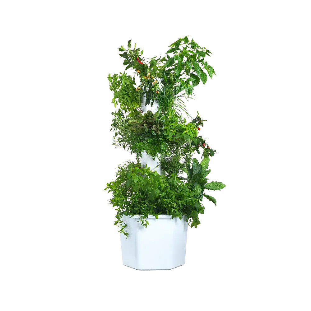 27-Plant Outdoor System