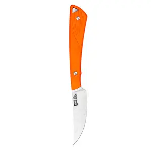 SHARPTAILED - ORANGE SHARPTAILED - ORANGE
