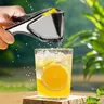 Stainless Steel Lemon Squeezer - 7.87*3.07*2.48 in Durable Anti-Rust Kitchen Utensil, Metallic Mirror Polish, Wave Grip, Drawer-Fit Slim, Curved Lever, Anti-Seed Pour Design, Clean Juice Flow, Easy-Clean, for Fruit, Lime/Orange Prep