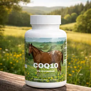 CoQ10 Ubiquinone Capsules 200mg - Natural Energy Support & Antioxidant Defense - Vegetarian Friendly - 30 Capsules - USA Made