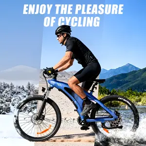 HX Q5 Lite Adult Electric Mountain Bike - 1000W Motor, 48V 13Ah Removable Battery, Torque Sensor, Smooth Comfortable Ride