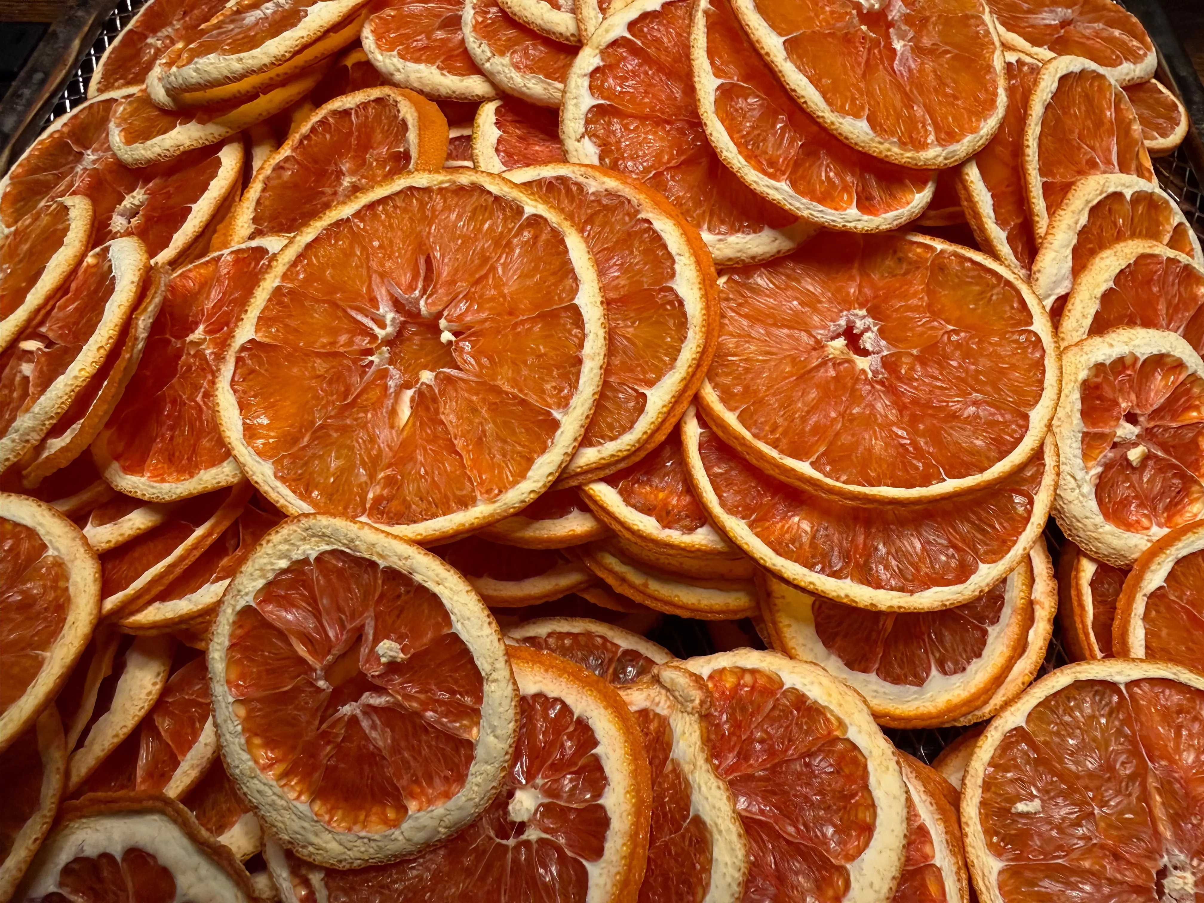 Dehydrated Orange Wheels | Premium Dehydrated Garnish