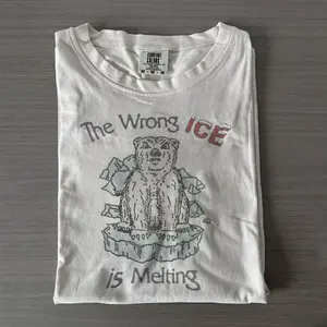 Comfort Colors The Wrong ICE Is Melting T-shirt