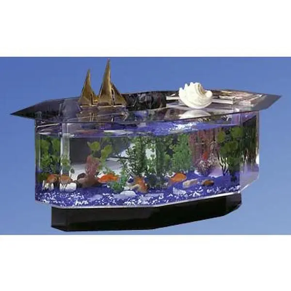 65 gallon fish tank - TikTok Shop 65 gallon fish tank - TikTok Shop