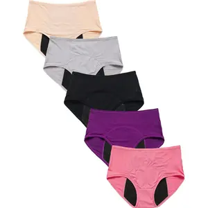 Womens Mesh Period Panties High Waisted Leak Proof Underwear Incontinence Protective Briefs H-4-5-1 X-Large Machine Washable 90% Nylon 10% Spandex Womenswear Breathable Comfy Day Light Maternity Seamless Valentine's Day Gift Black Grey Pink Purple