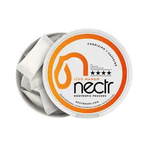 Iced Mango - Focus Pouches