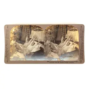 Stereoview Card - Funny Vintage Scene