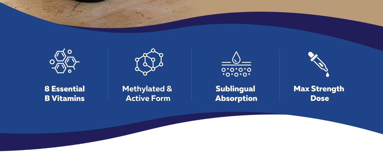 BioActive Vitamin B Complex | Methylated & Active Forms | Methylfolate, 3 Forms of B12, BenfoPutesin B5 | 12 B Vitamins | Liquid Formula | 8 oz