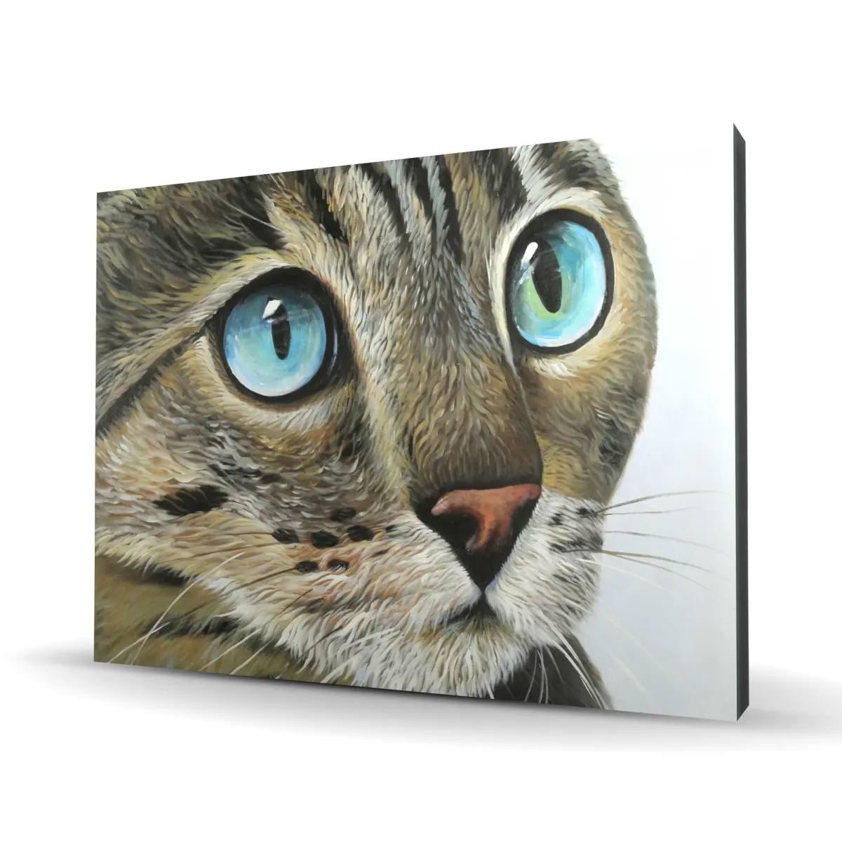 212 MAIN Hyperrealist Curious Cat Animal Portrait High Def Photo Print - 36x48" Artistic Wall Art, Home Decor, Ideal Gift for Home Supplies Enthusiasts