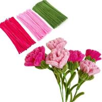 Carnation color-300pcs