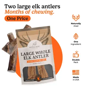 Alpha Dog Elk Antler Chews — Natural Long-Lasting Dog Chew for Aggressive Chewers — Wild Shed, USA Sourced — Cleans Teeth, No Rawhide, No Splinters — Whole & Split Available — All Breeds & Sizes