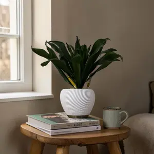 Modern Multicolor PLA Plant Pot with Ribbed Design 2-Piece Set for Indoor Plants Home Decor 5"x5"x4.5" H Round Shape White Beige 3D Plastic Sturdy Build