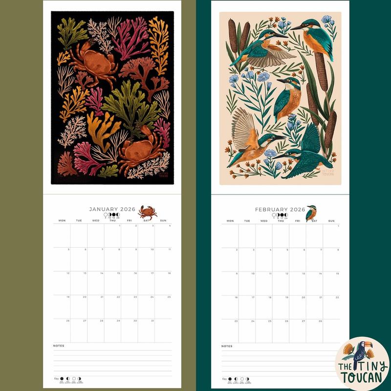 2026 Calendar A4 Illustrated Wall calendar. Cottagecore. Mushrooms. Frogs. Family Calendar. Magpies. Capybara. Mon-Sun organisation handmade