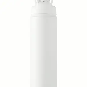 Aesthetic Leak-Proof Water Bottle with Straw (24oz)