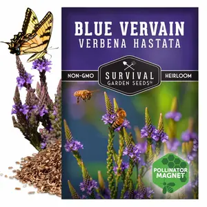 Blue Vervain Seeds – Native Medicinal Wildflower for Pollinators, Rain Gardens & Herbal Use