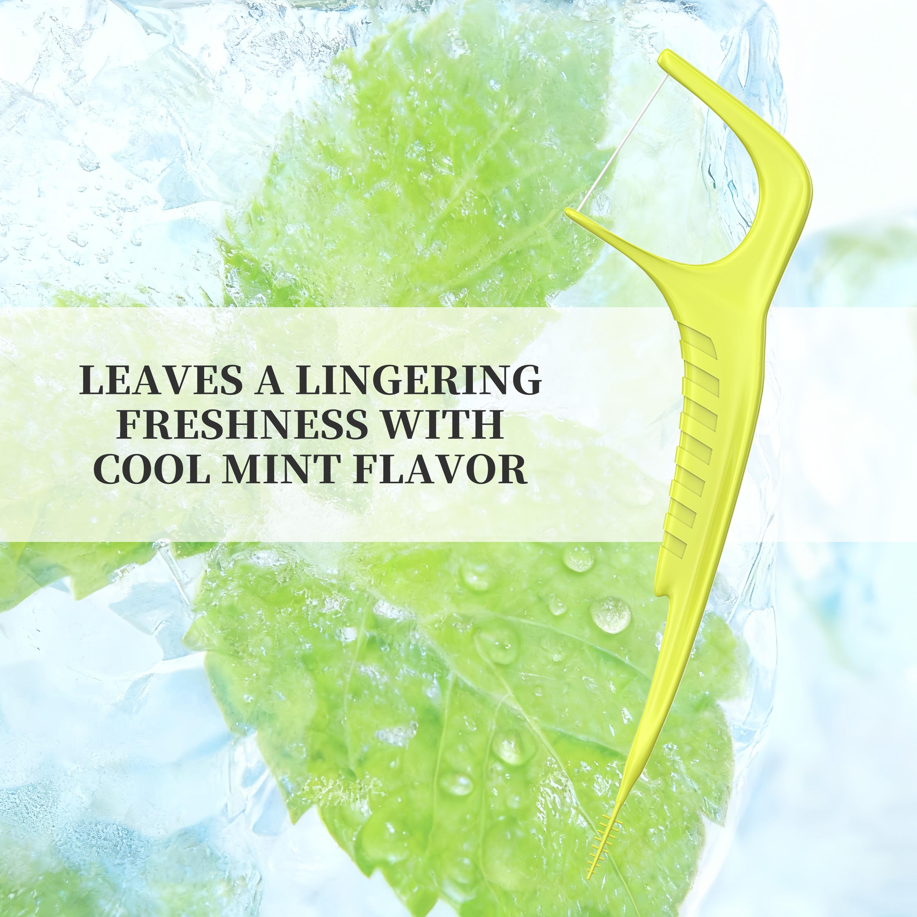 CEELIKE 2-in-1 Floss Pick : Efficient Cleaning, Gum Care, and Fresh Breath Guaranteed