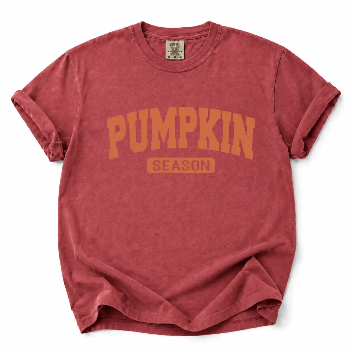 Comfort Colors Pumpkin Season T-Shirt, Minimalist Fall Graphic Tee, Autumn Pumpkin Lover Shirt, Cozy Harvest Gift