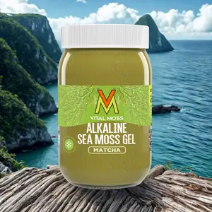 Vital Moss Matcha Sea Moss Gel – Dietary Supplement (16 fl oz)