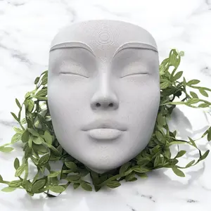 Modern Wall Face Planter – Unique Head Vase for Succulents & Air Plants! Home, Office, Garden Wall Decor