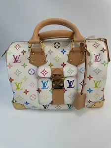 Pre-owned Louis Vuitton preowned speedy 30 multicolor white