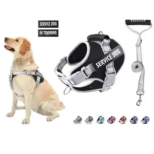 Night Reflective Anti-Pull Dog Harness & Leash Set Breathable Mesh Escape-Proof Adjustable Straps Guide Dog Patch Safe Comfortable Pet Walking Gear chenille dog bed quick drying bathrobe christmas lights cruise hairless cat clothes brand gn wlw c