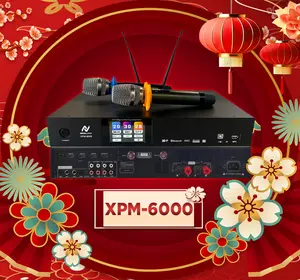 3-in-1 DSP Karaoke Processor w/ Microphones & Power Amp System | NovaLumix | Best in Class