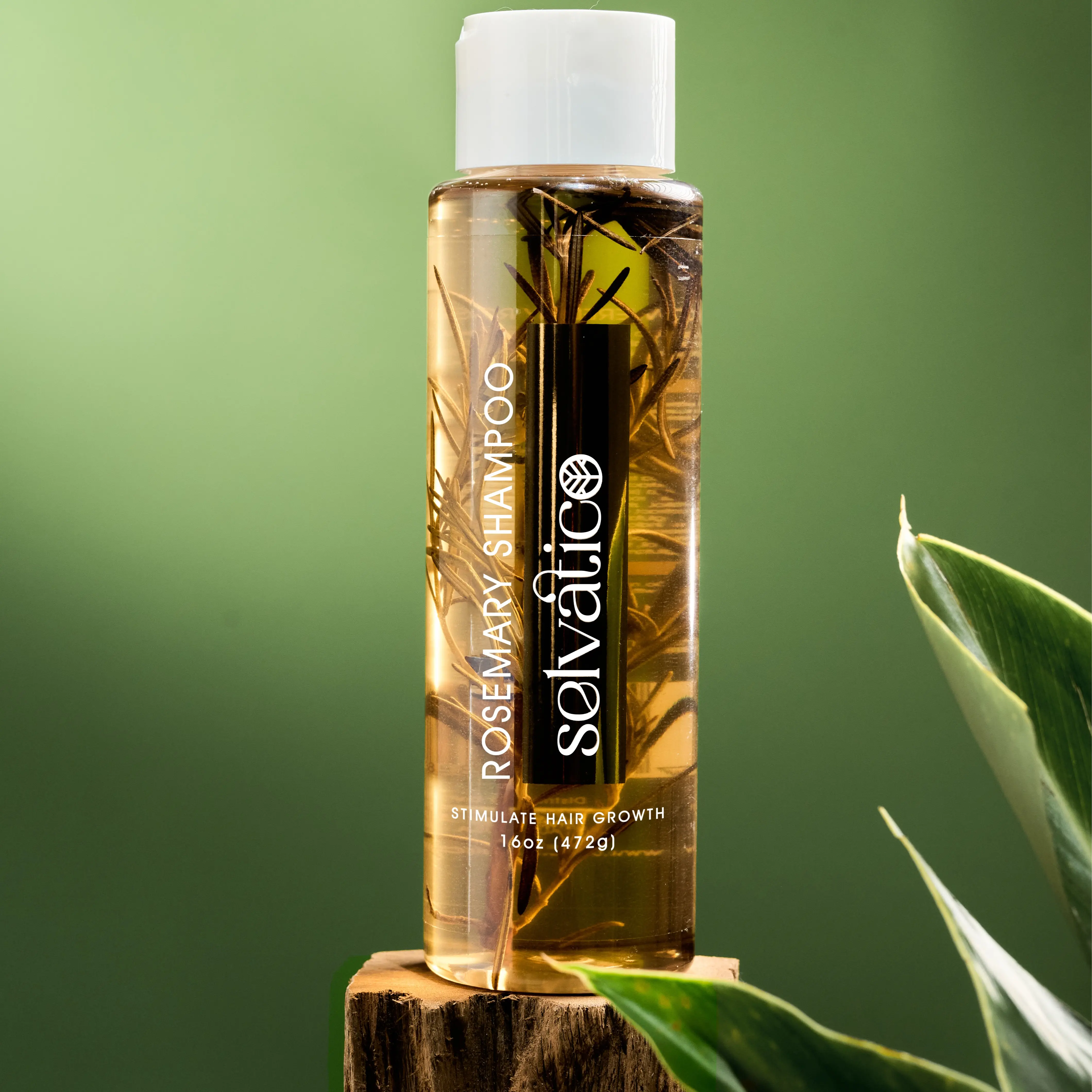 Rosemary Shampoo Selvatico - Hair Growth Shampoo with Natural Rosemary, Paraben Free, Gentle Formula for All Hair Types